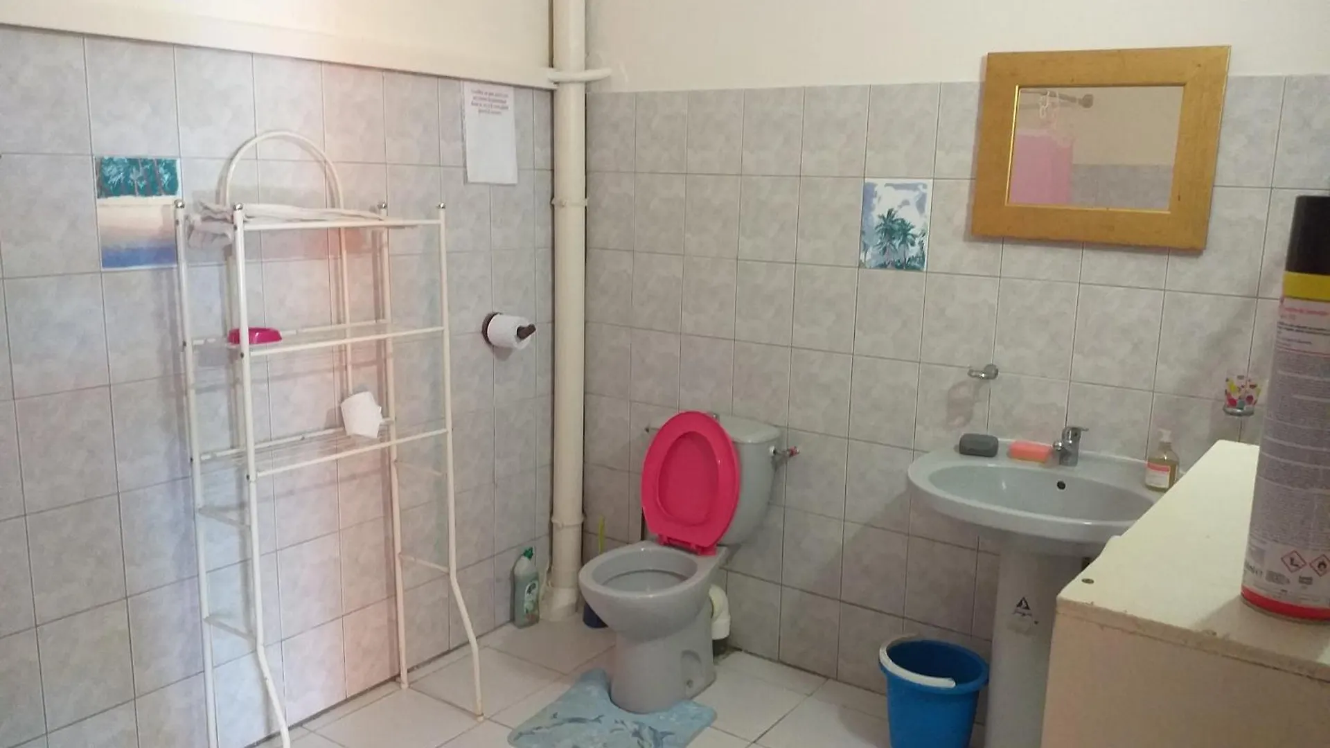 Bas De Villa Meuble A 5 Minutes De La Plage 圣安娜 马提尼克